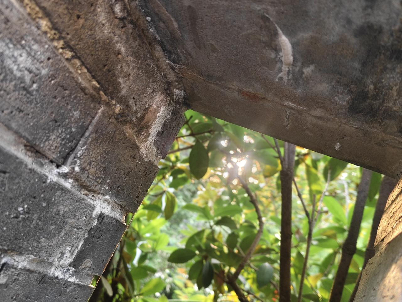 瞧这小壁虎，悄咪咪趴在老砖墙上，跟周围的灰墙融为一体，不仔细看还真发现不了。背后