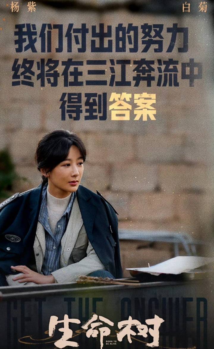 杨紫王安宇合作杨紫3.13号要去罗马大放光彩  王安宇待播剧也不少目前两位交集只