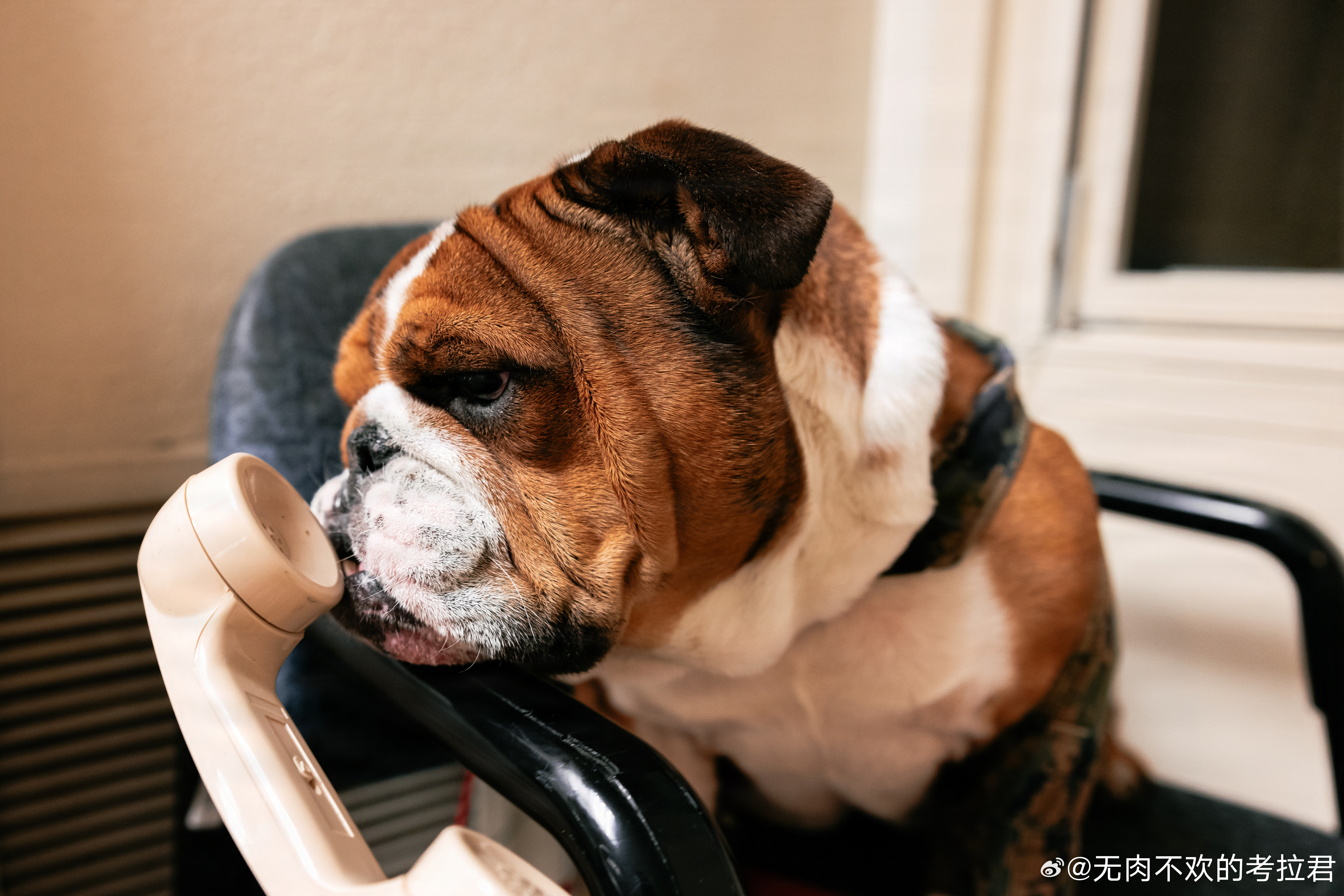 2026年1月12日，圣迭戈新训营的Lance Cpl. Bruno 