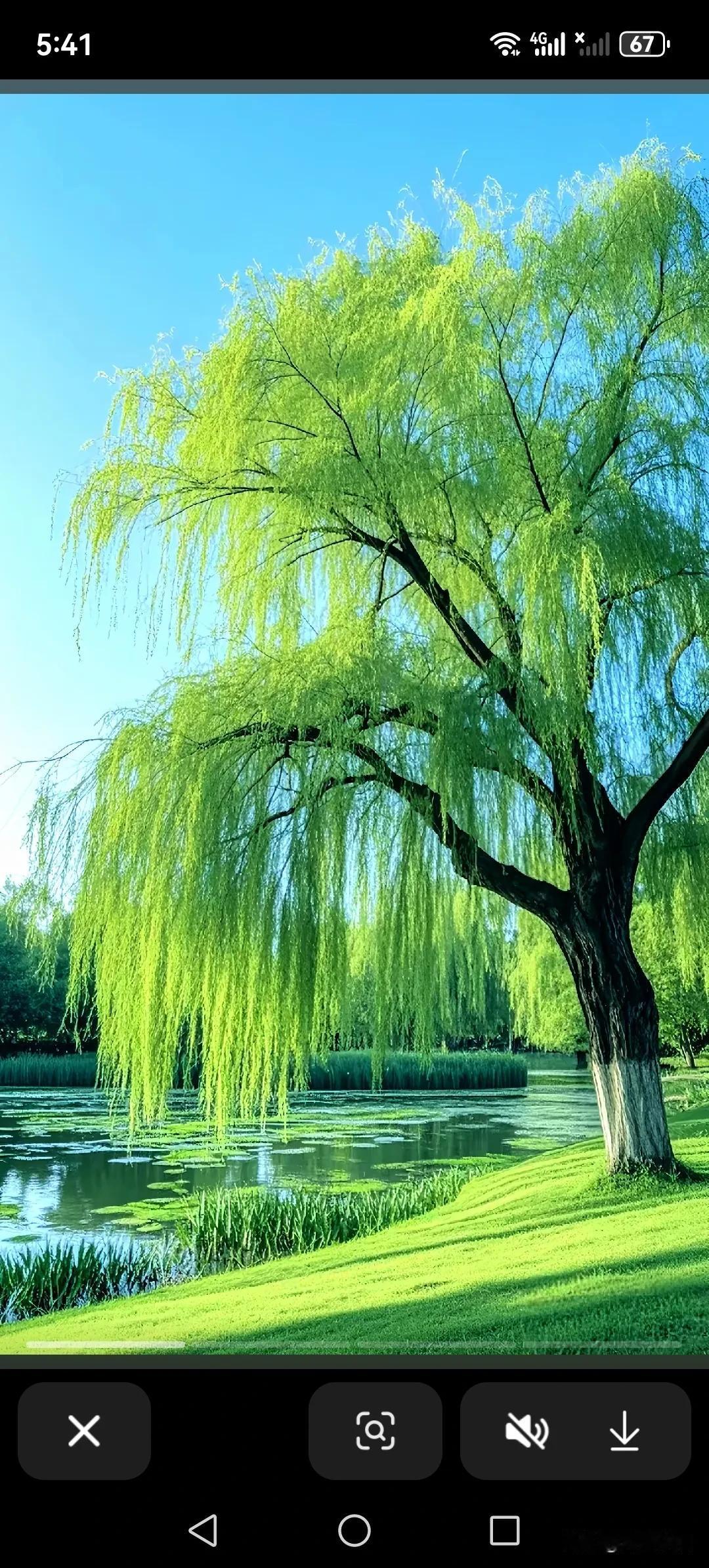 《菩萨蛮·人生且惜》
 
浮生历尽千般苦，
初心未改长相顾。
淡茗自清宁，
素交