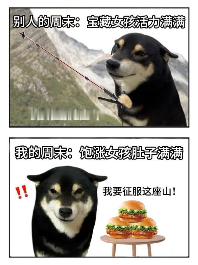 周末计划vs实际周末 周末计划屡屡落空也无妨，美食准时送到手中，味蕾得到满足，这