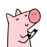 肉包最爱影视剧