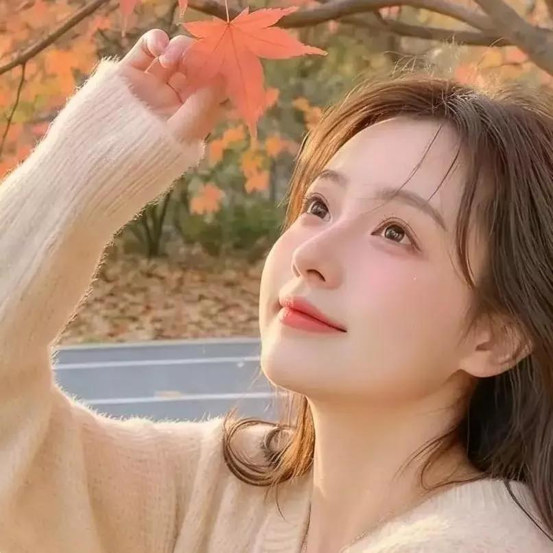 秋日暖阳下，温柔的微笑，一片枫叶飘落，美好如初。枫叶红时秋景美 秋日枫叶林 秋叶