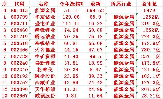 能源金属概念，2025年（九个月）以来涨幅最多的35名单

在2025年以来的涨
