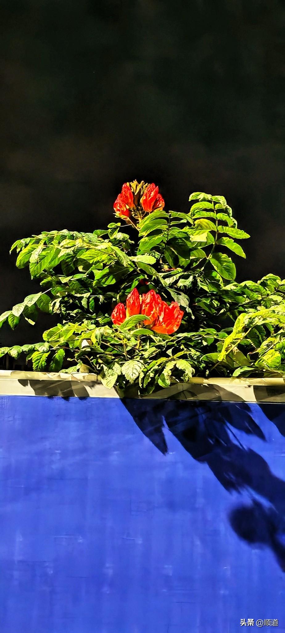 我承认我太不自律了，只休息了一天，我感觉我好像待了一辈子那么长，时间过得好慢，又