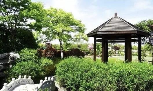 公墓价格下降对民众的重要性可以从多个角度来理解，具体影响因地区、文化和经济状况不