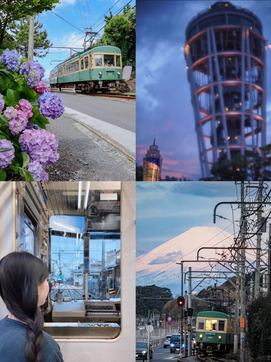 🇯🇵日本东京之旅，千万别忘了来镰仓赏花‼️
