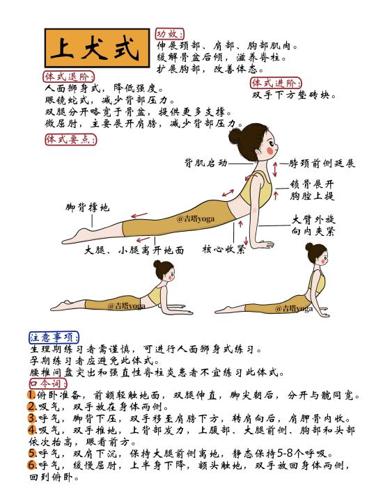 【新】每天讲解一个瑜伽体式【第四十二天】
