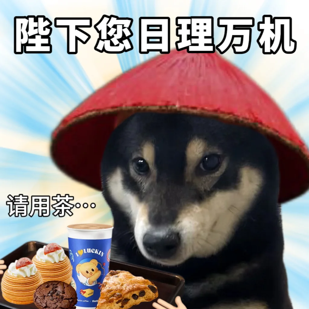 网络皇帝驾到😌