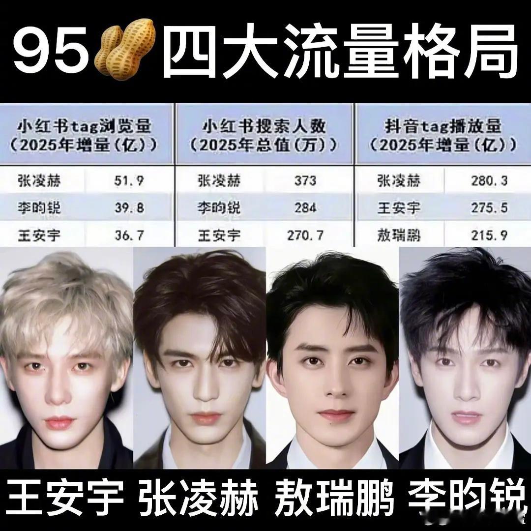 95生四大流量生王安宇、张凌赫、敖瑞鹏、李昀锐 