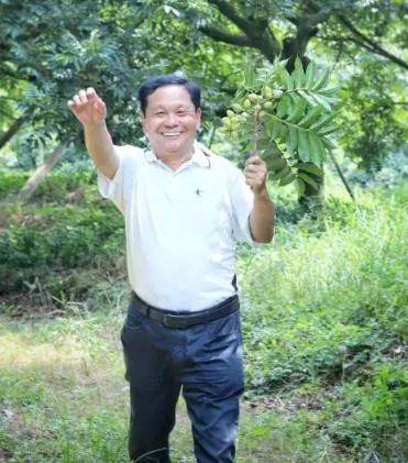 广东，一68岁的老人，借债1200万，只为种1000亩橄榄树，导致自己妻离子散，