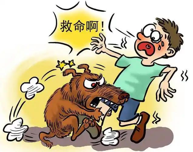 成都养犬新规正式实施，有一条规定格外引人热议：只要自家狗狗咬伤路人，不管是不是对