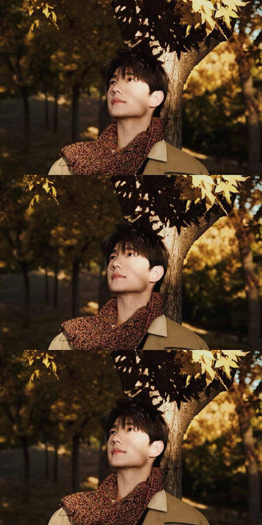 “又是一年秋”🍁🍂​​​