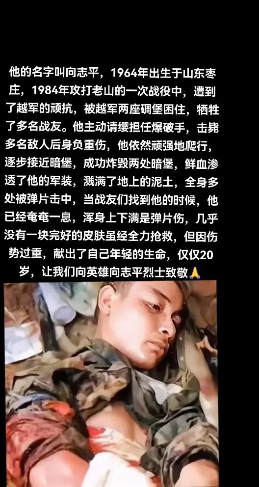 向志平和其他战友们的故事也成为了许多人心中的丰碑象征着那些年为国家主权...
