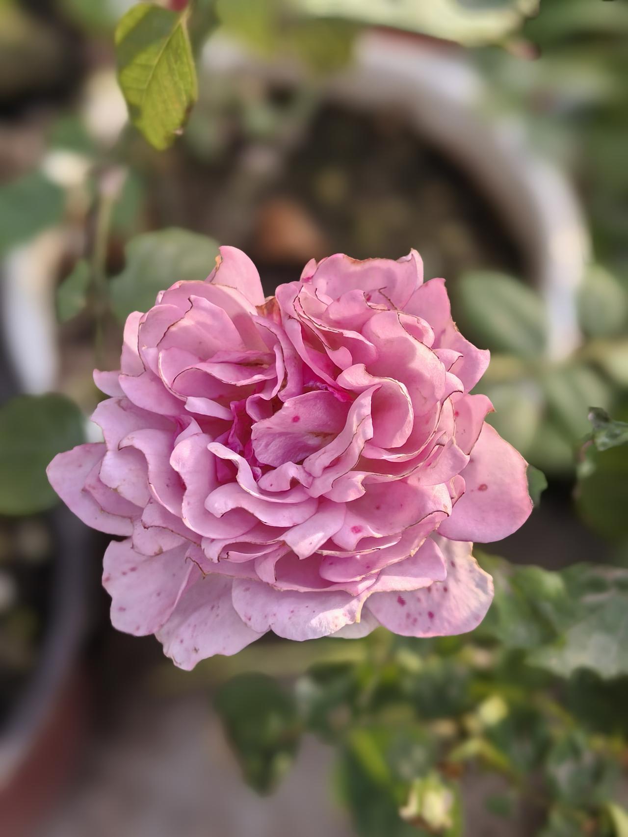 你一定听说过这样一句话：“我负责赚钱养家，你负责貌美如花。”这是一锅最毒的鸡汤。