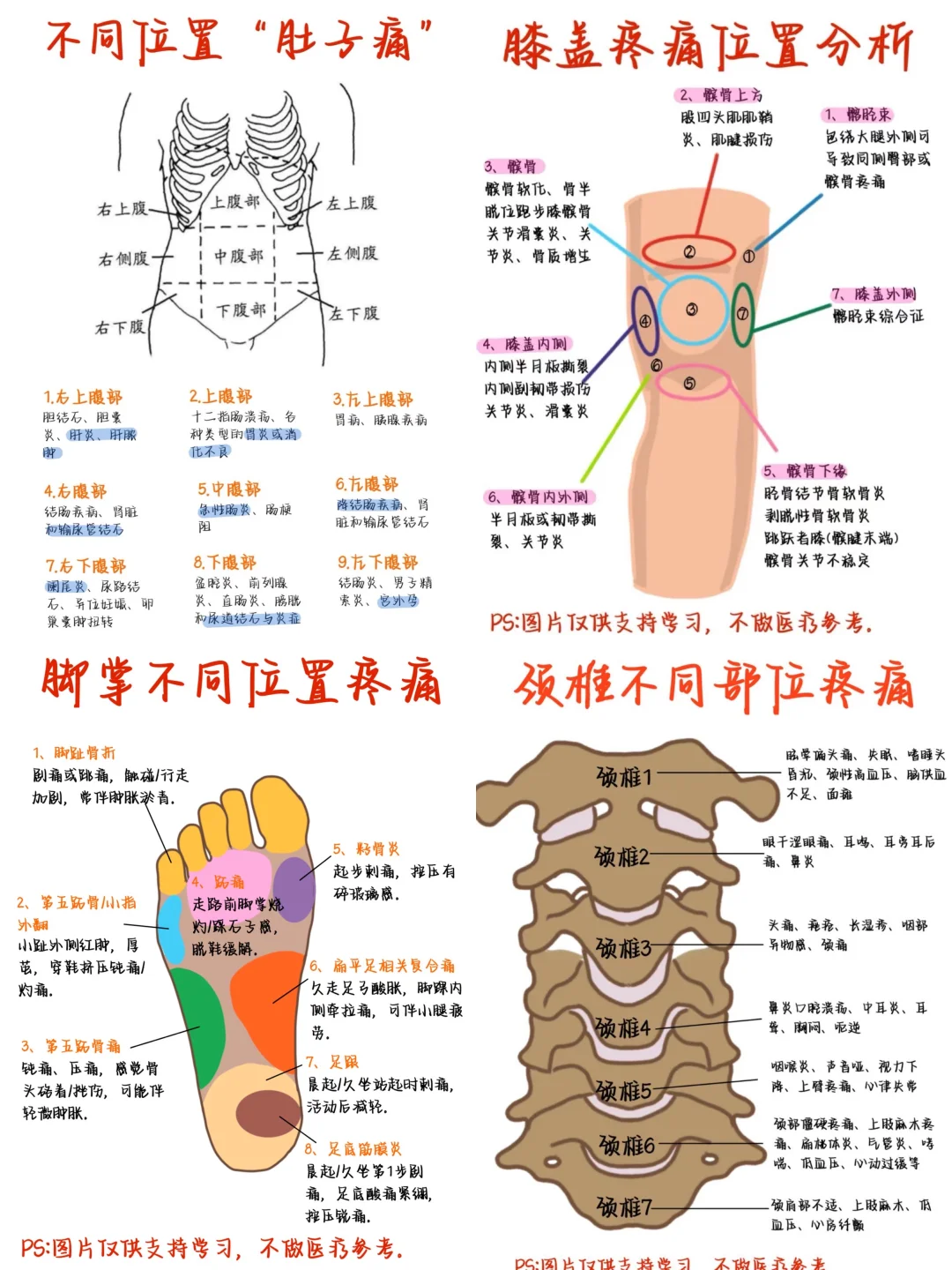 医学生笔记——不同部位疼痛合集