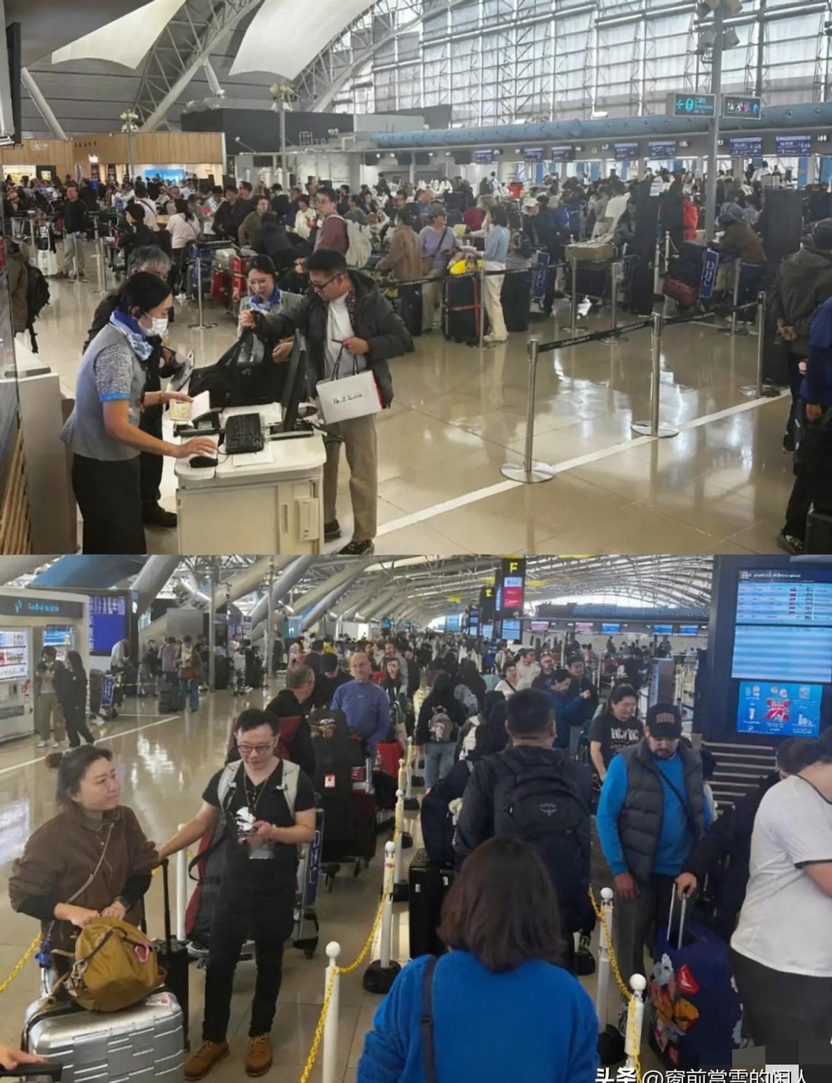 日本机场乱成一锅粥，中国人被堵在那儿出不来。
不是不想走，是飞机票根本抢不到。