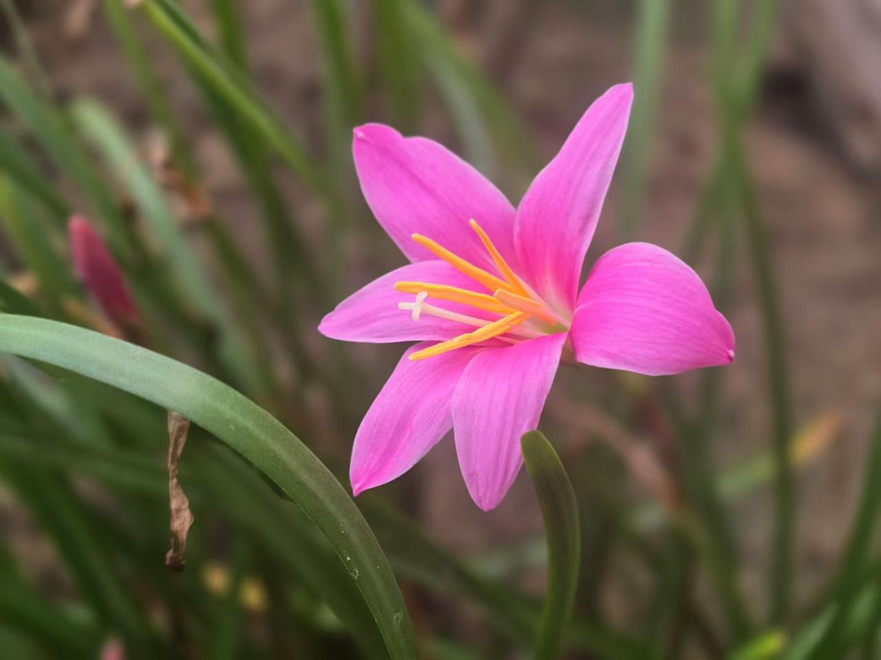 多吃馒头身体好，少管闲事威信高