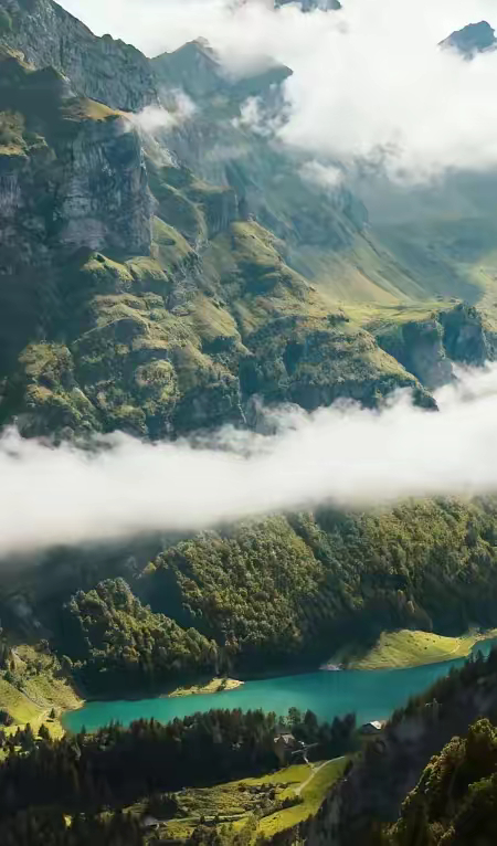 一位老中医说：“你跑再多步，吃再贵的补品，只要你心情不好，天天拧巴，全是白费。四