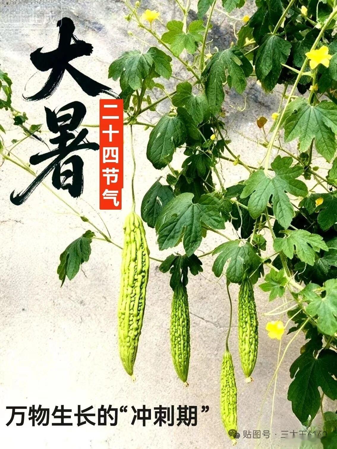 波伏娃曾说：“爱一个人，不应是失去自己，而是在保有自己的同时接纳对方。”情感语录