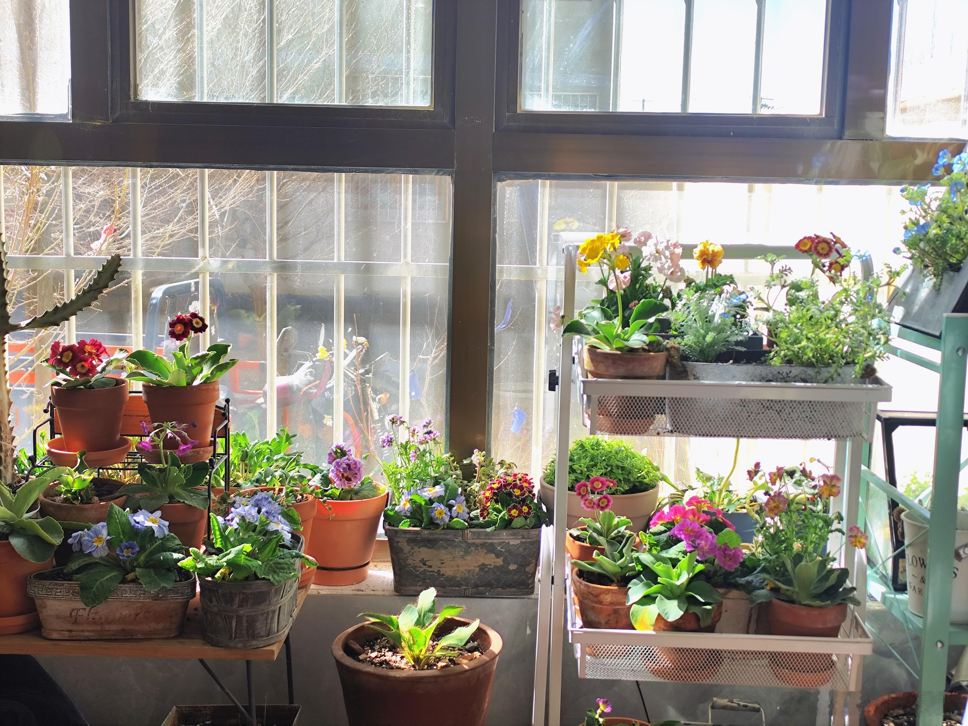 拼多多千亿扶持推供需双旺，拼多多的产业新玩法该咋看？近年来，电商平台竞争日趋白热