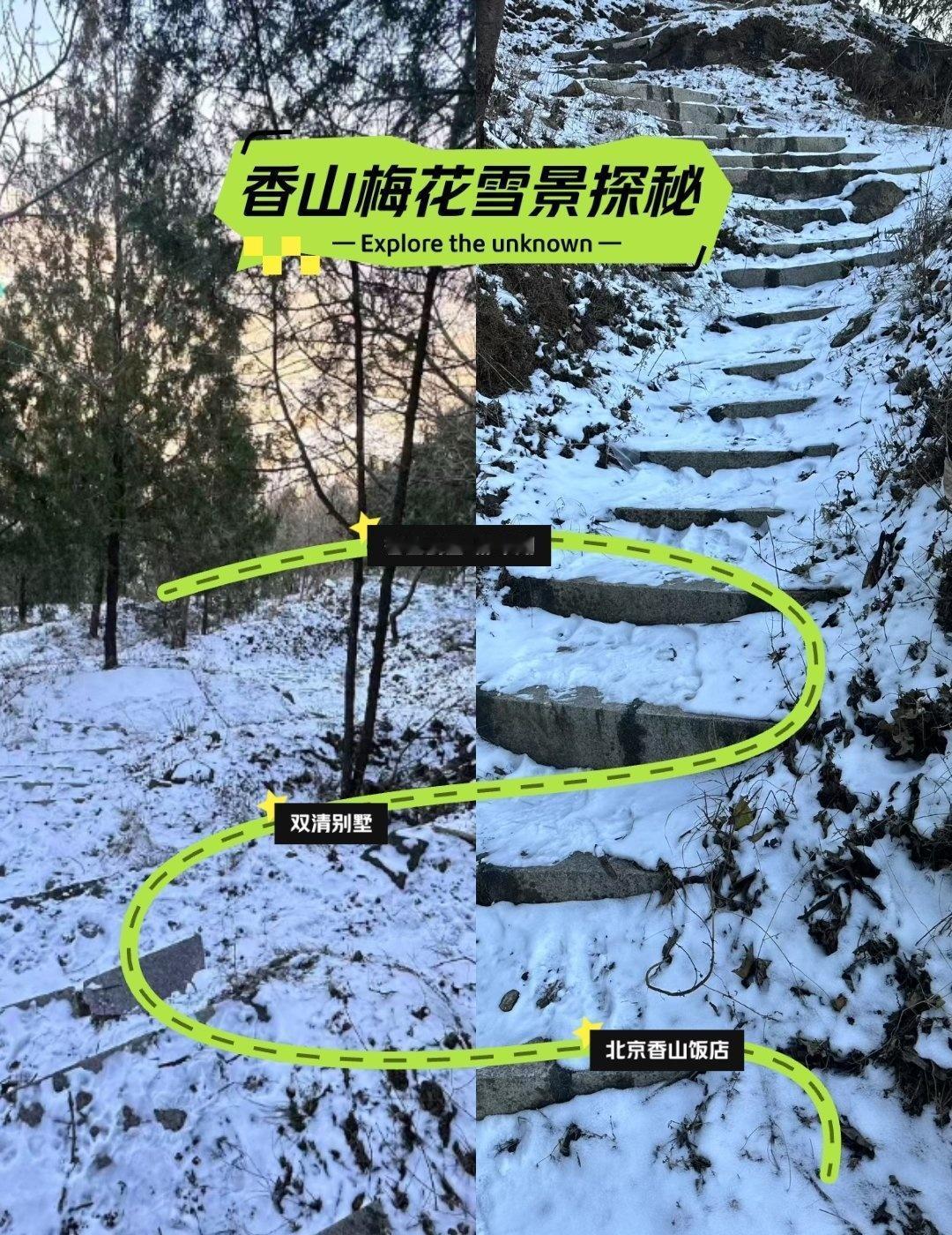 北京香山后谷踏雪寻梅🌸
📍北京 
🌨谁说北京的冬天只有萧瑟？香山后谷的腊梅