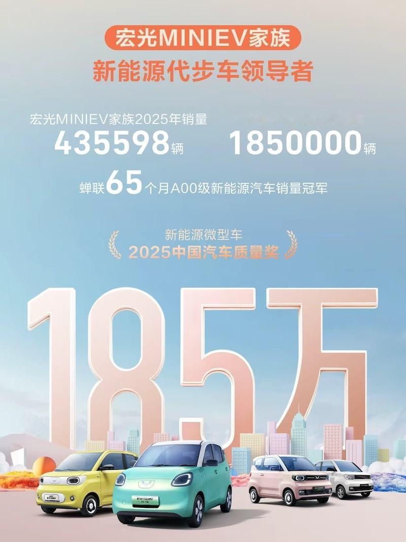 一口气拿下65个月销冠！宏光MINIEV家族年销再破43万台。

如果要问国内新