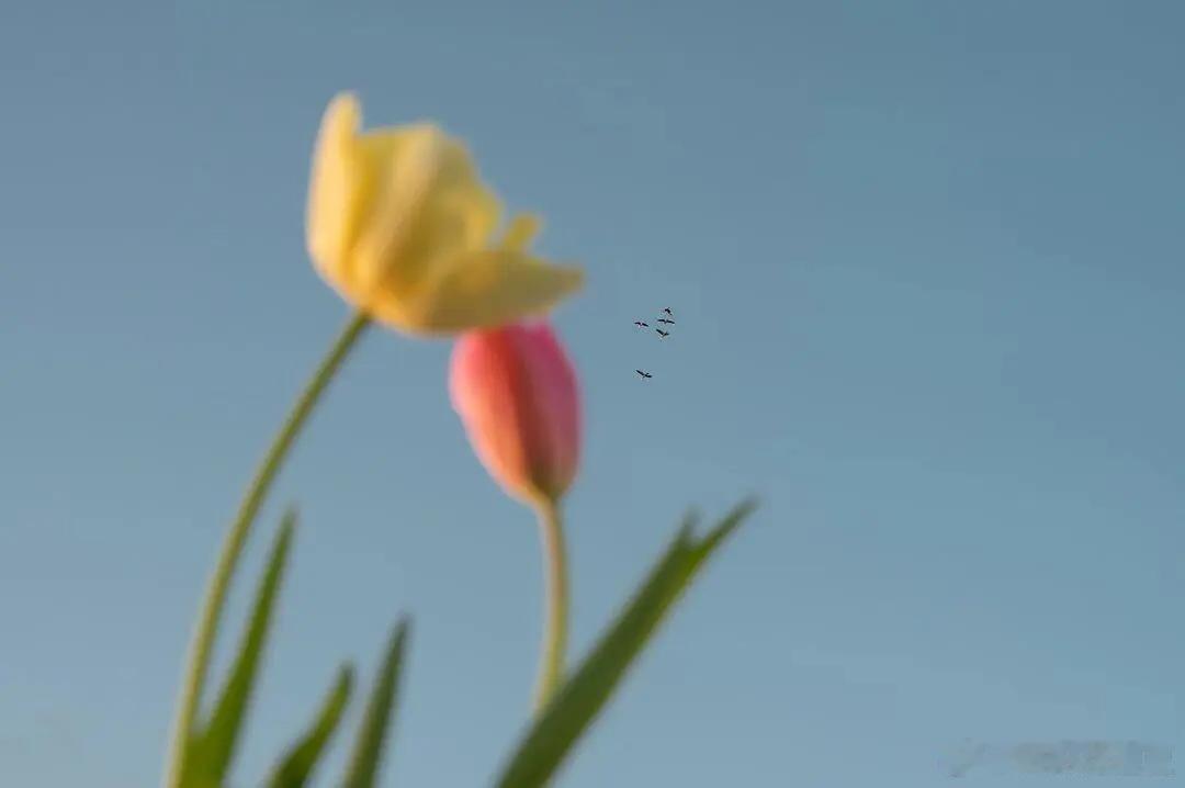 留意身边小风景，生活处处藏着温柔～ 