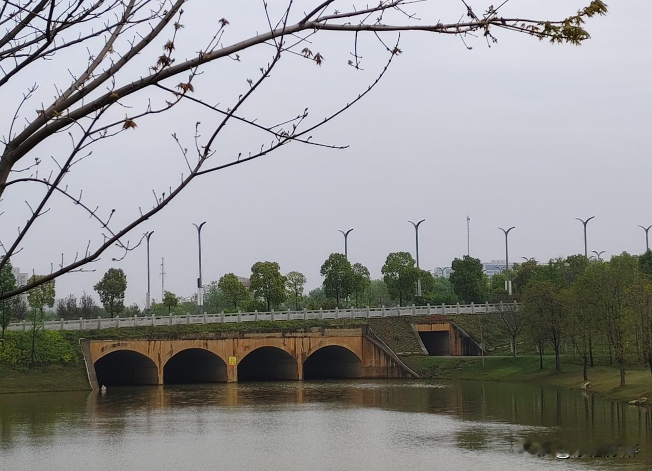 再回阳逻，蓝玉项链依旧楚楚动人，尤其是倒水河旁的10区（运动主题公园），活力四射