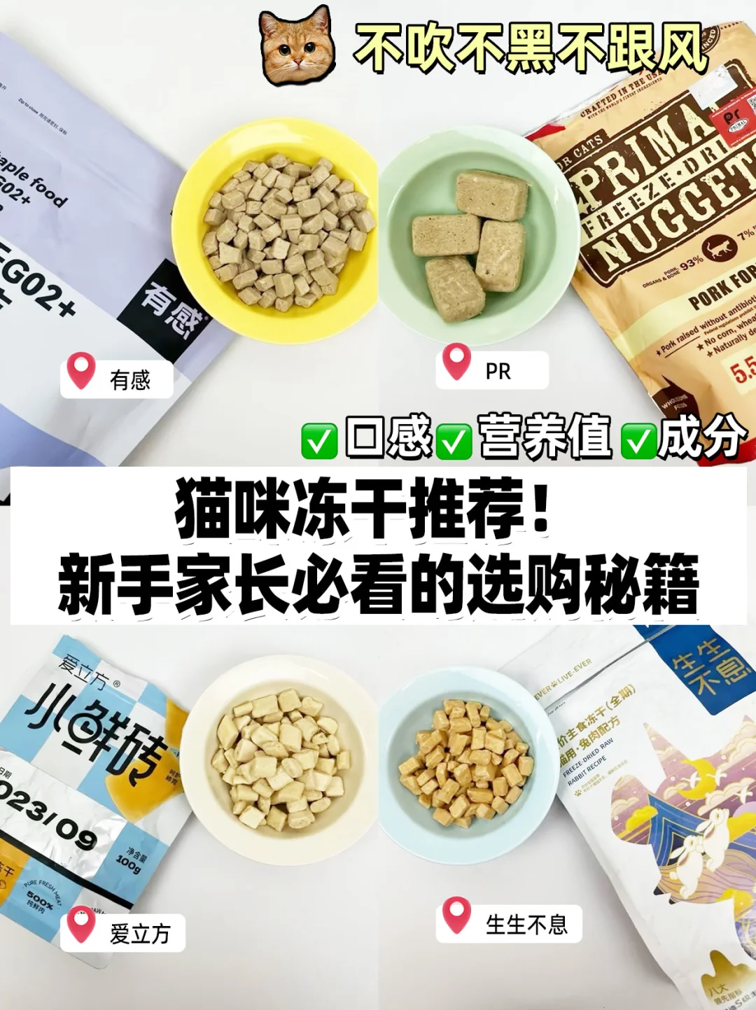 猫咪冻干推荐！新手家长双十一的选购秘籍🔍