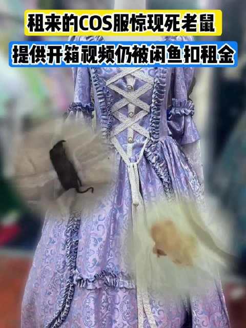 闲鱼回应COS服现死老鼠：消费者需自行承担退货运费。消费者张女士反映，女儿在闲鱼