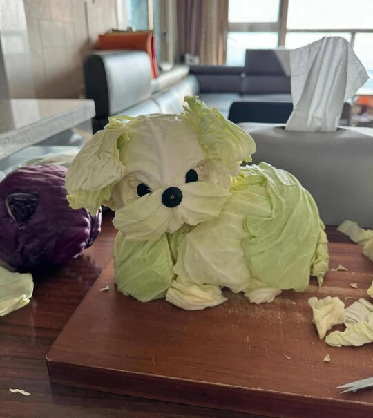 闵庆珍｜好可爱的菜狗🐶，看起来软fufu的