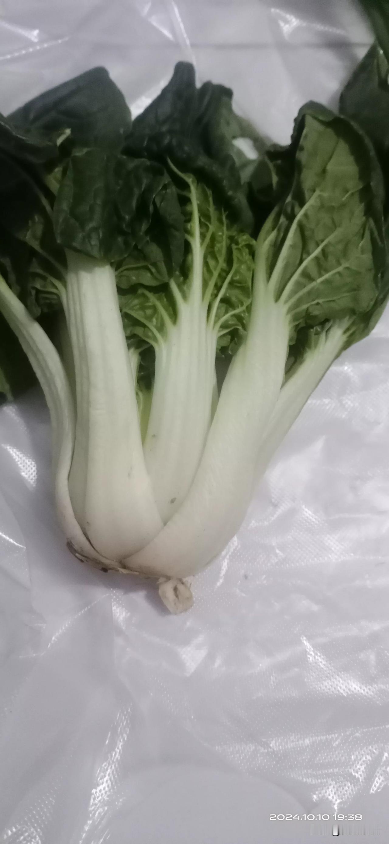 有很长时间没有去买过菜了，最近在网上一直看到有人说蔬菜的价格高的离谱，听起来挺吓