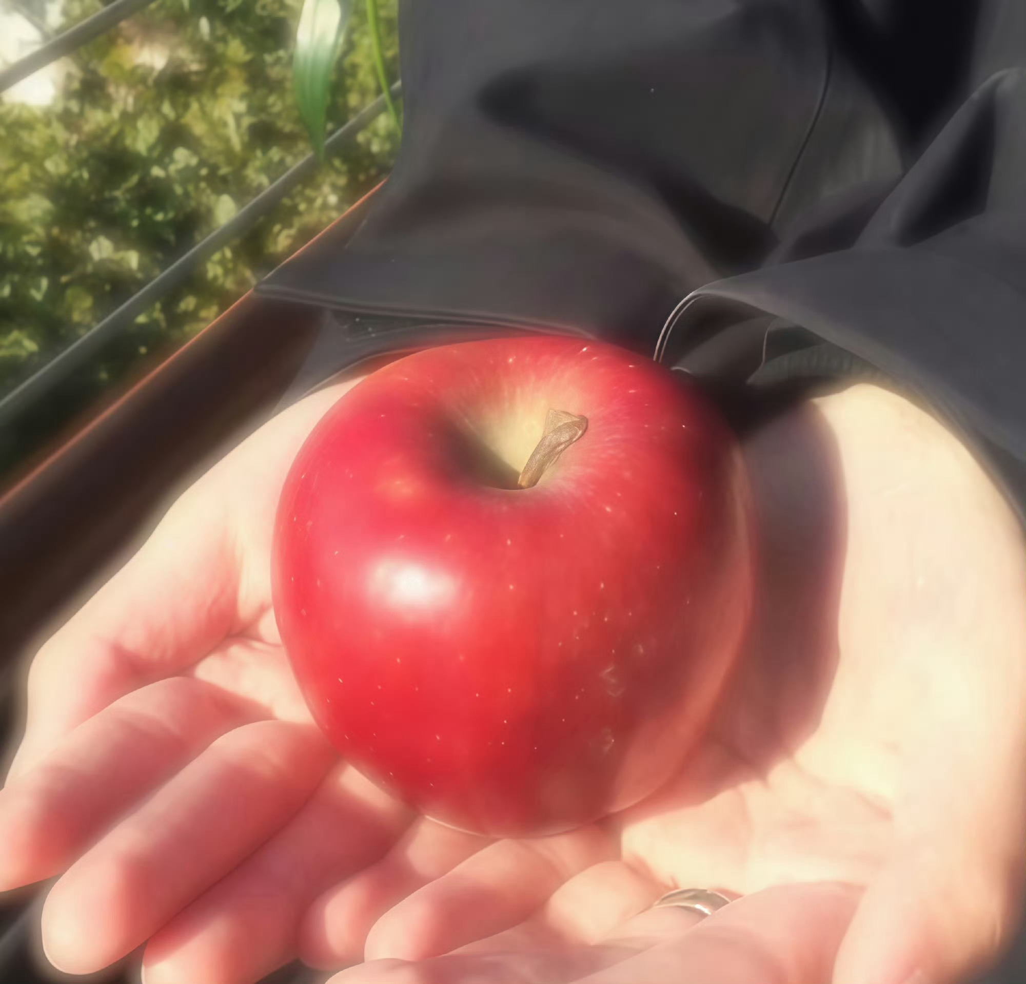 姐姐们妹妹们宝宝们老婆们记得想念我 你们在我心里永远是最好最好的女孩