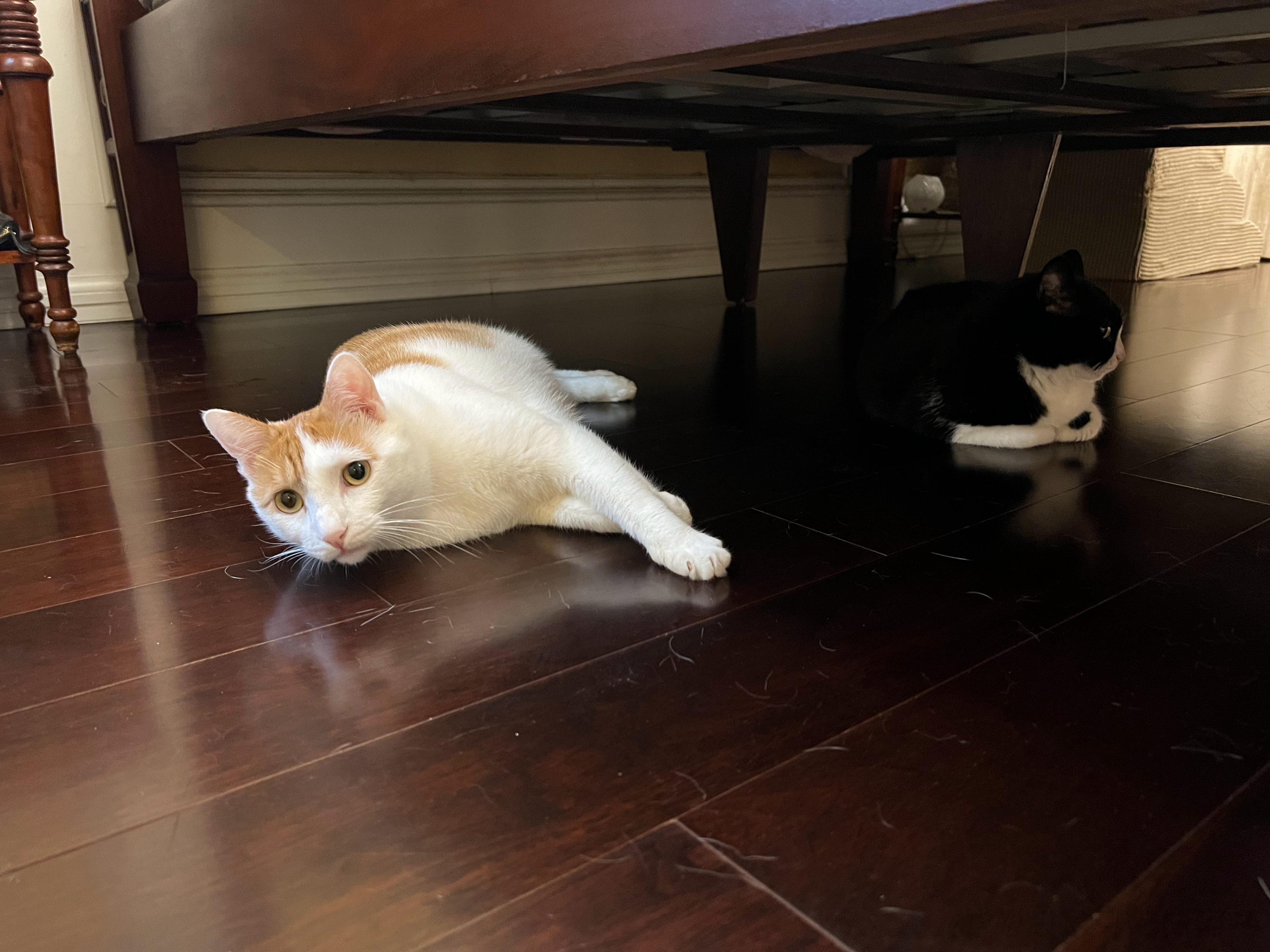 猴？你活儿干完了吗你？就跟妹妹在床底下谈恋爱！ ​​​