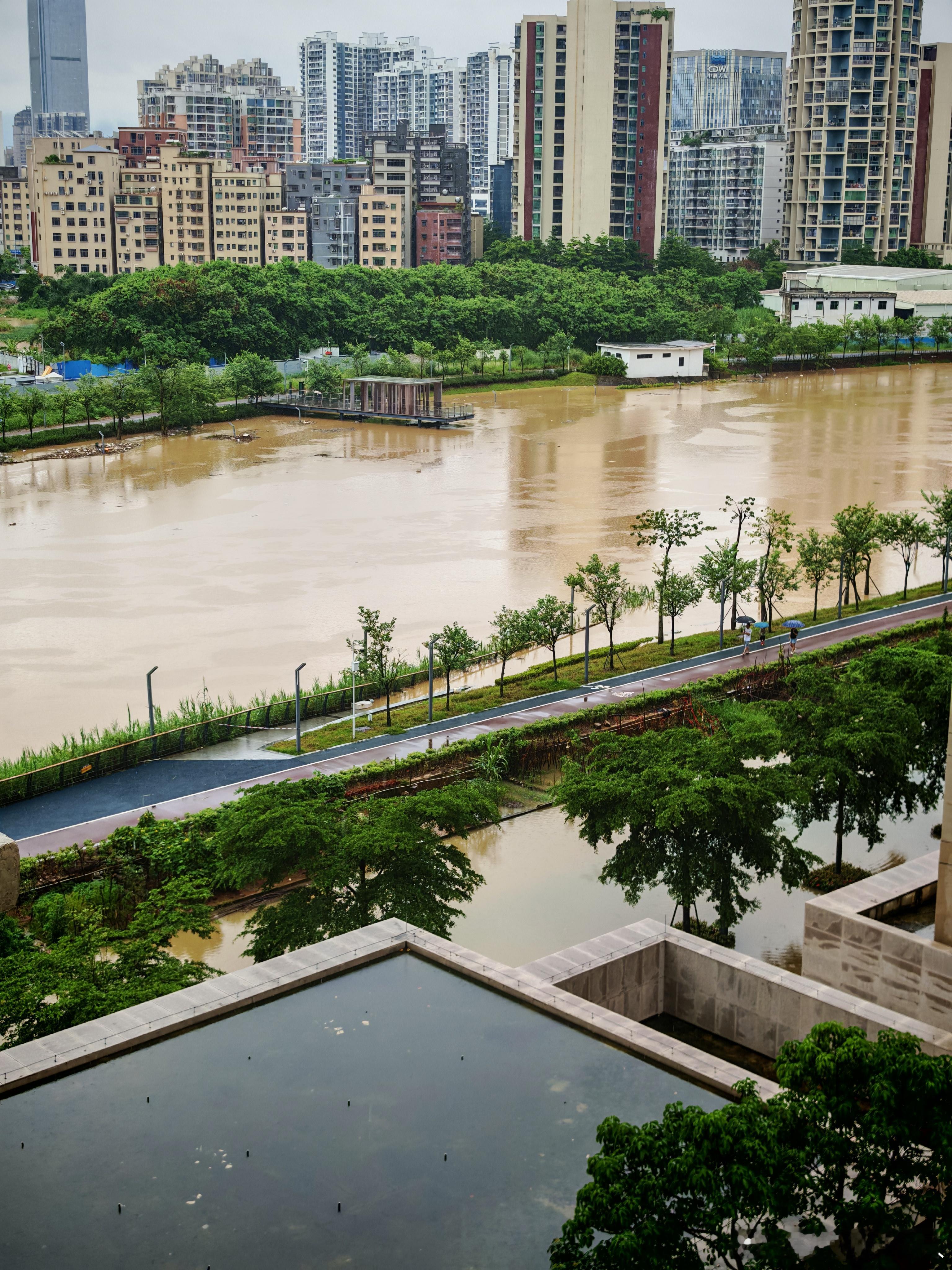 广东的天是不是破洞了暴雨也太夸张了，一觉醒来天都塌了，附近淹水了，叫了个外卖也拿
