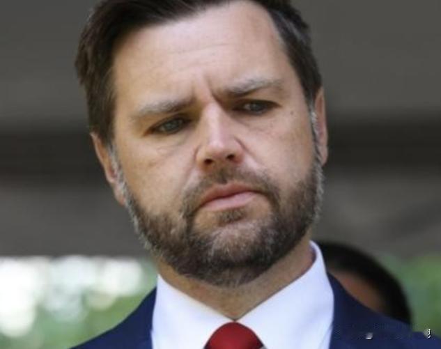 “乡巴佬”万斯曾暗示中国：如果不接受关税，就考虑战争。话音未落，中国学者高志凯就