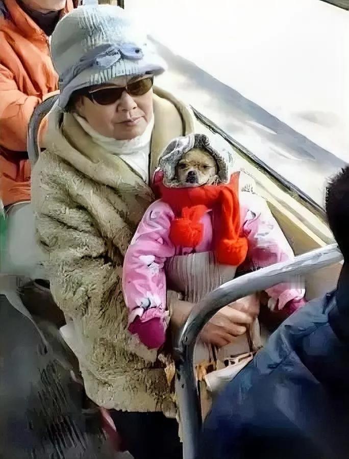 见过给狗穿衣服的，没见过这么“费心思”的。

楼下李姨把孙女的粉外套往狗身上一套