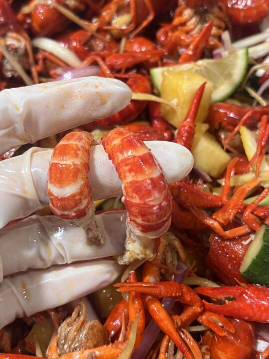 柳州｜冰镇凉拌小龙虾太好吃了吧🦞