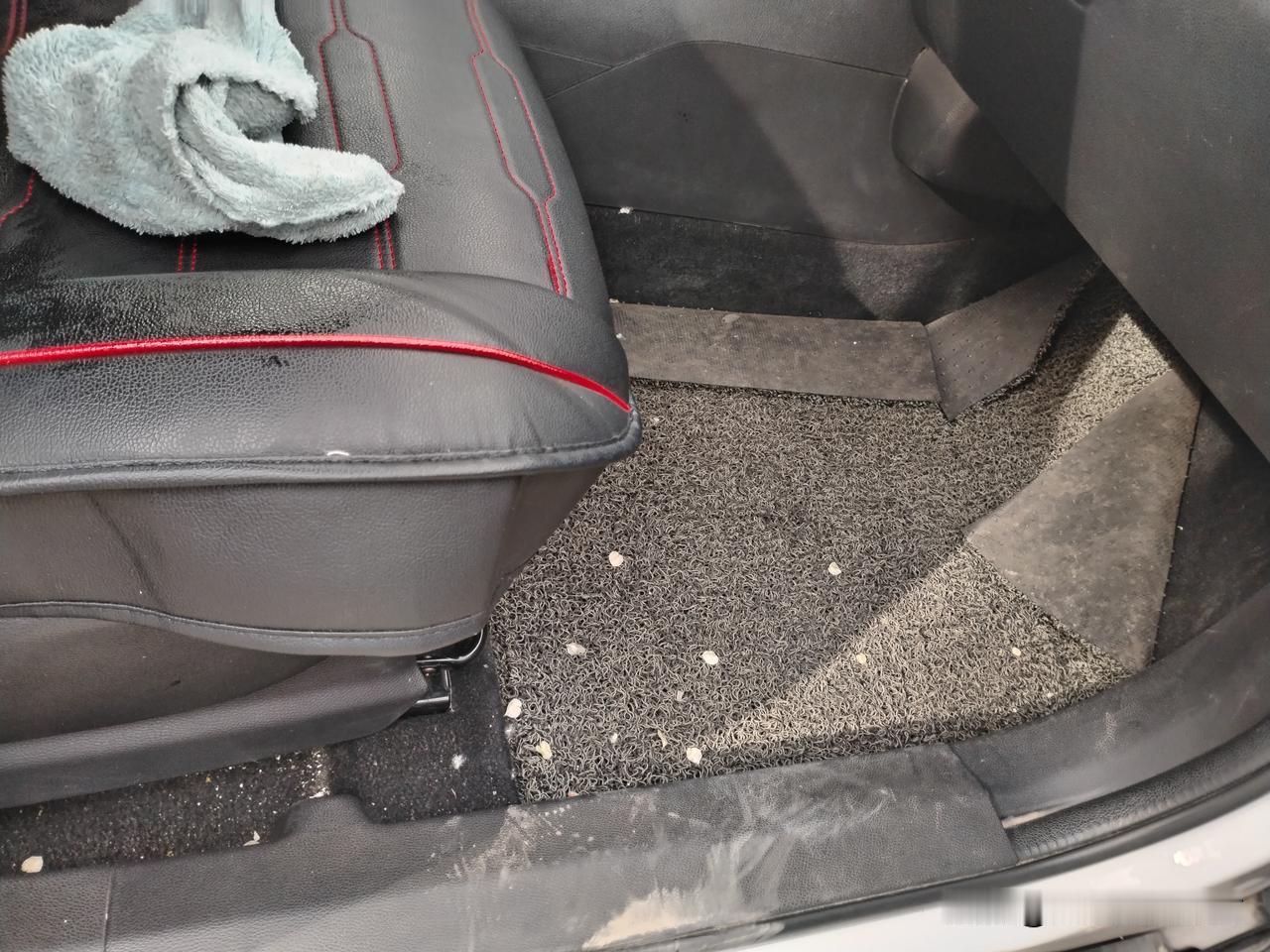 这两天“发大财”了，疯狂的榆钱雨撒向车里，我捡都来不及捡。这泼天的富贵让我碰到了