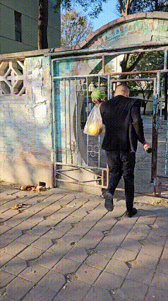 好不容易给老婆要了100块钱……

妻给百元钞
出门买西瓜
捎带一瓶酒
急忙赶回