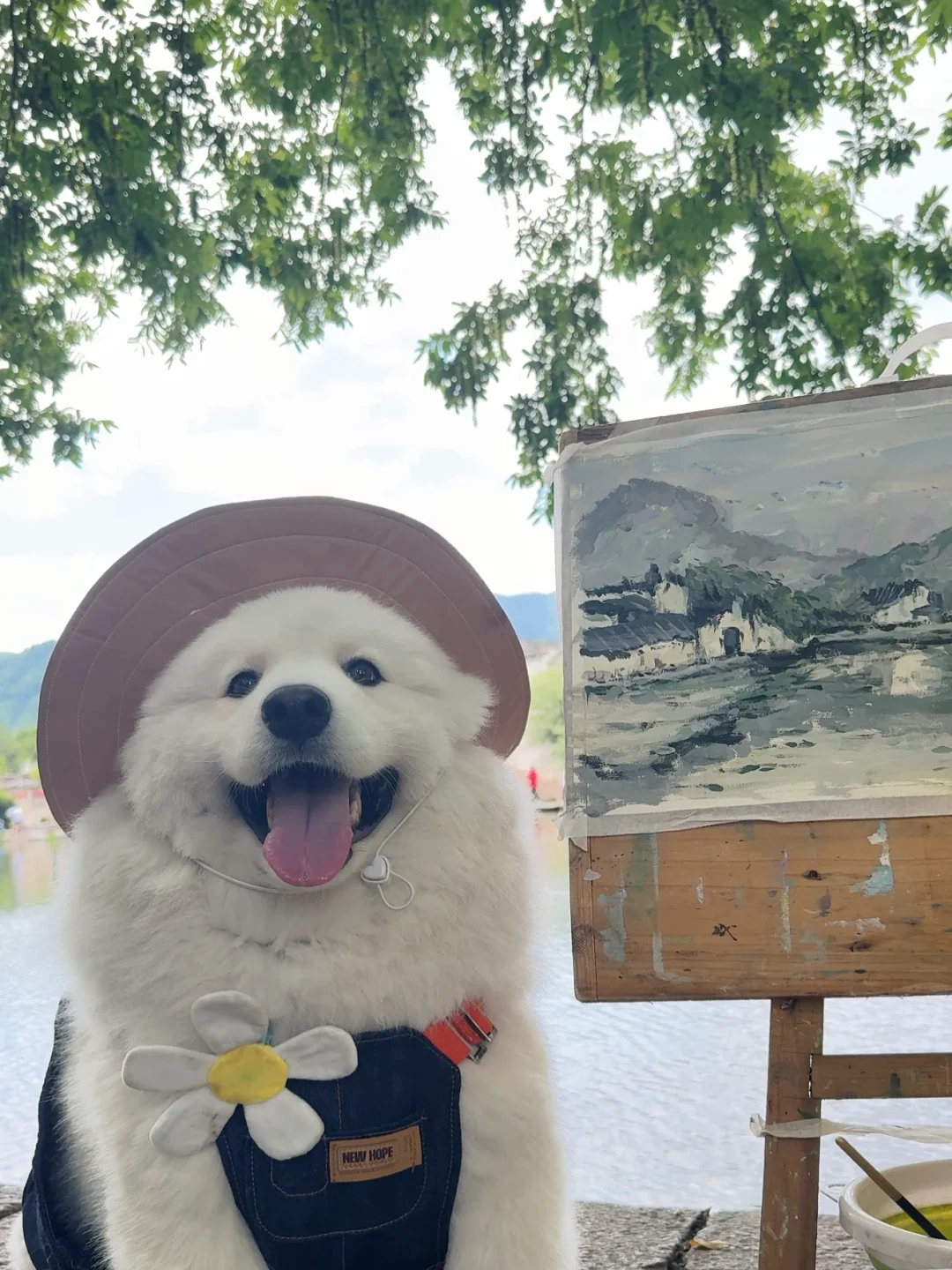 中国这本书 小狗翻到了宏村！