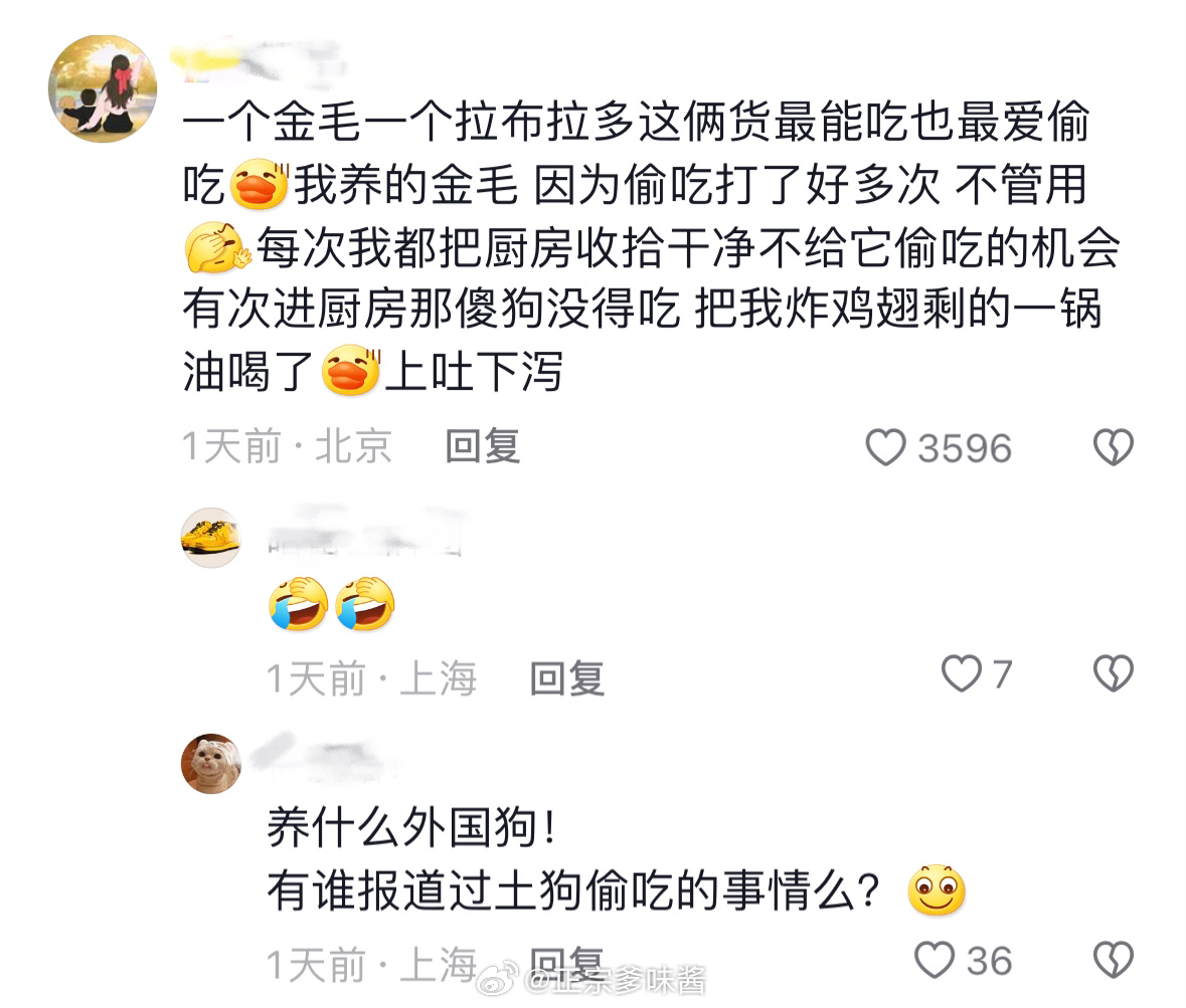 一点开抖阴我厌蠢症就发作了 ​​​