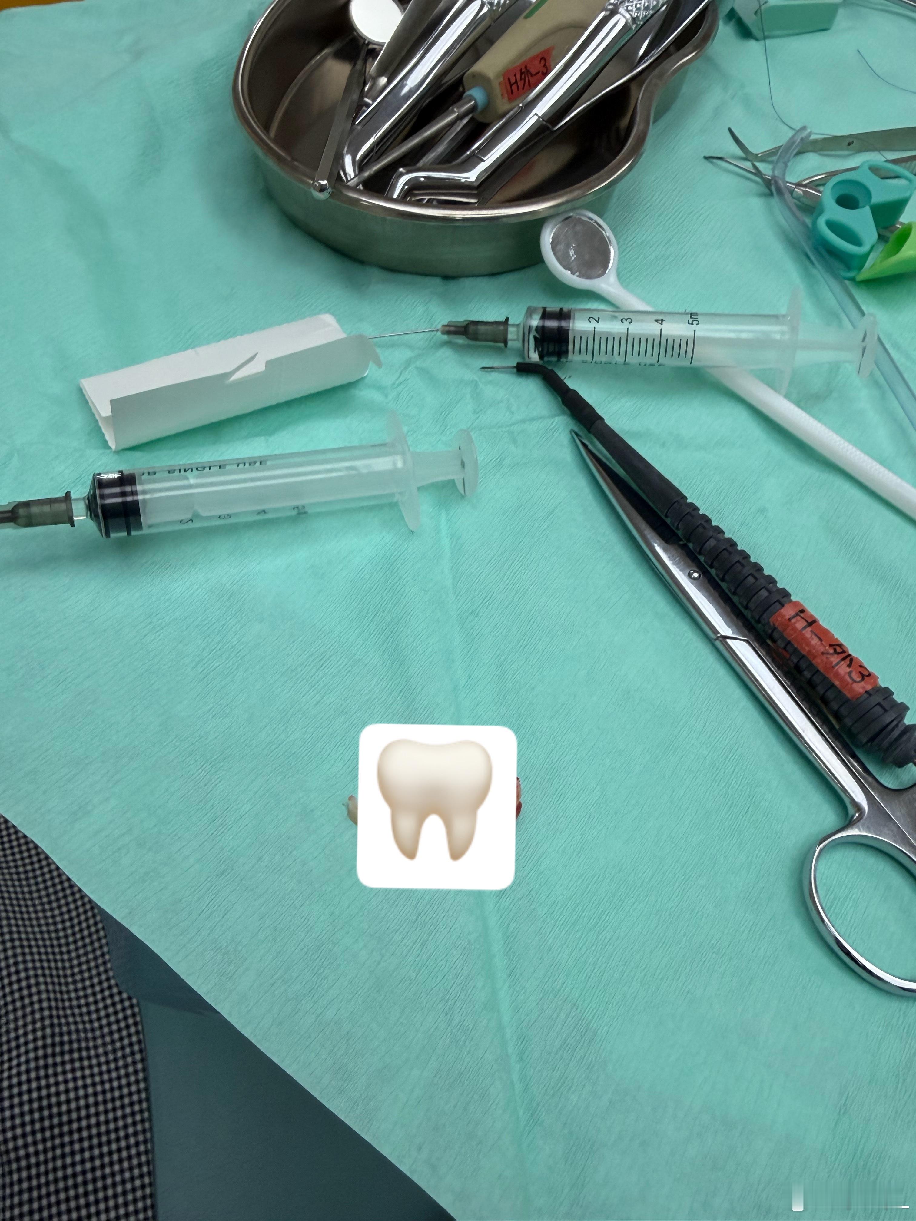 好智齿乖智齿 好快一点行吗 ​​​