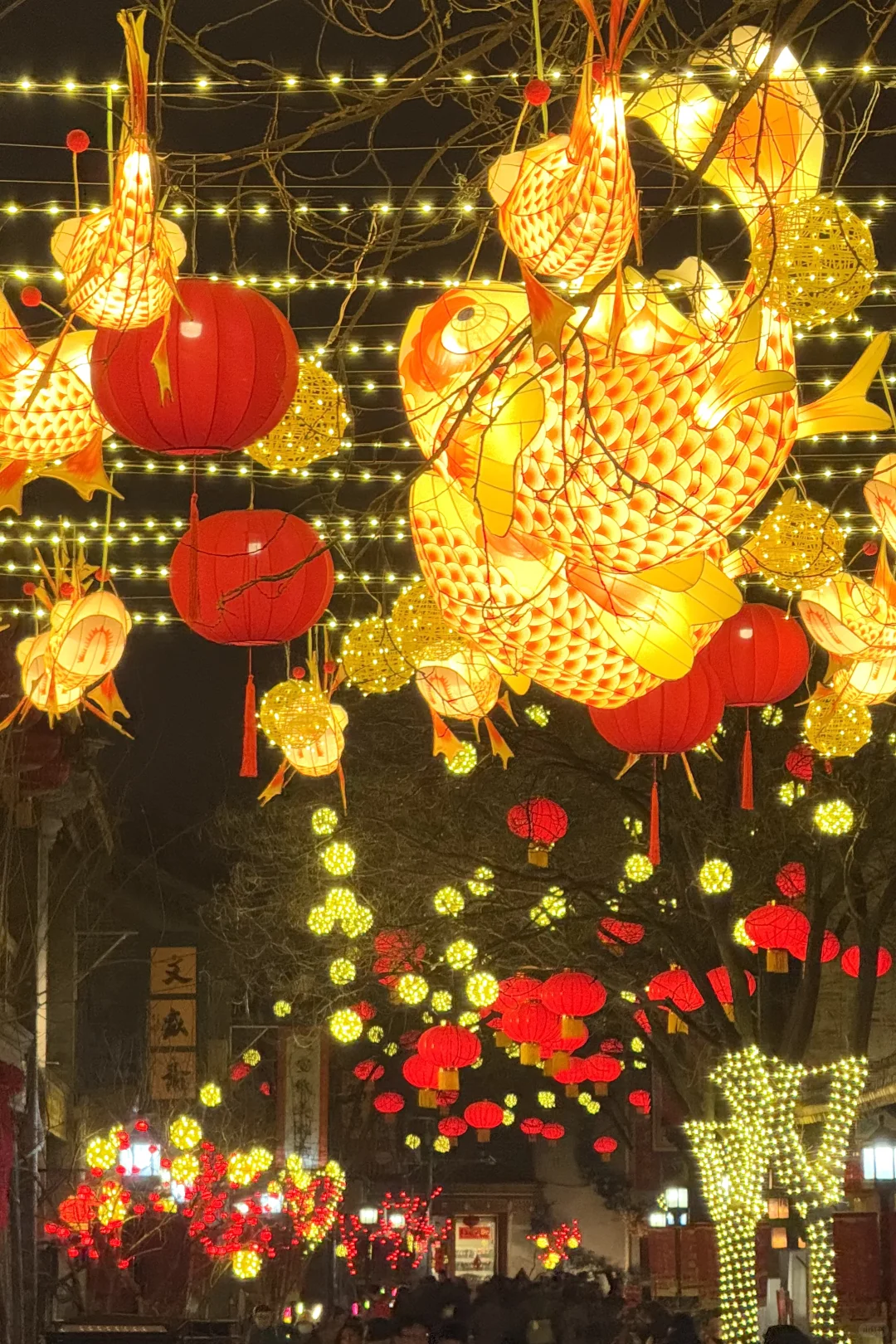 1.26实况Live🏮地道的年灯胡同还得是这里❗️