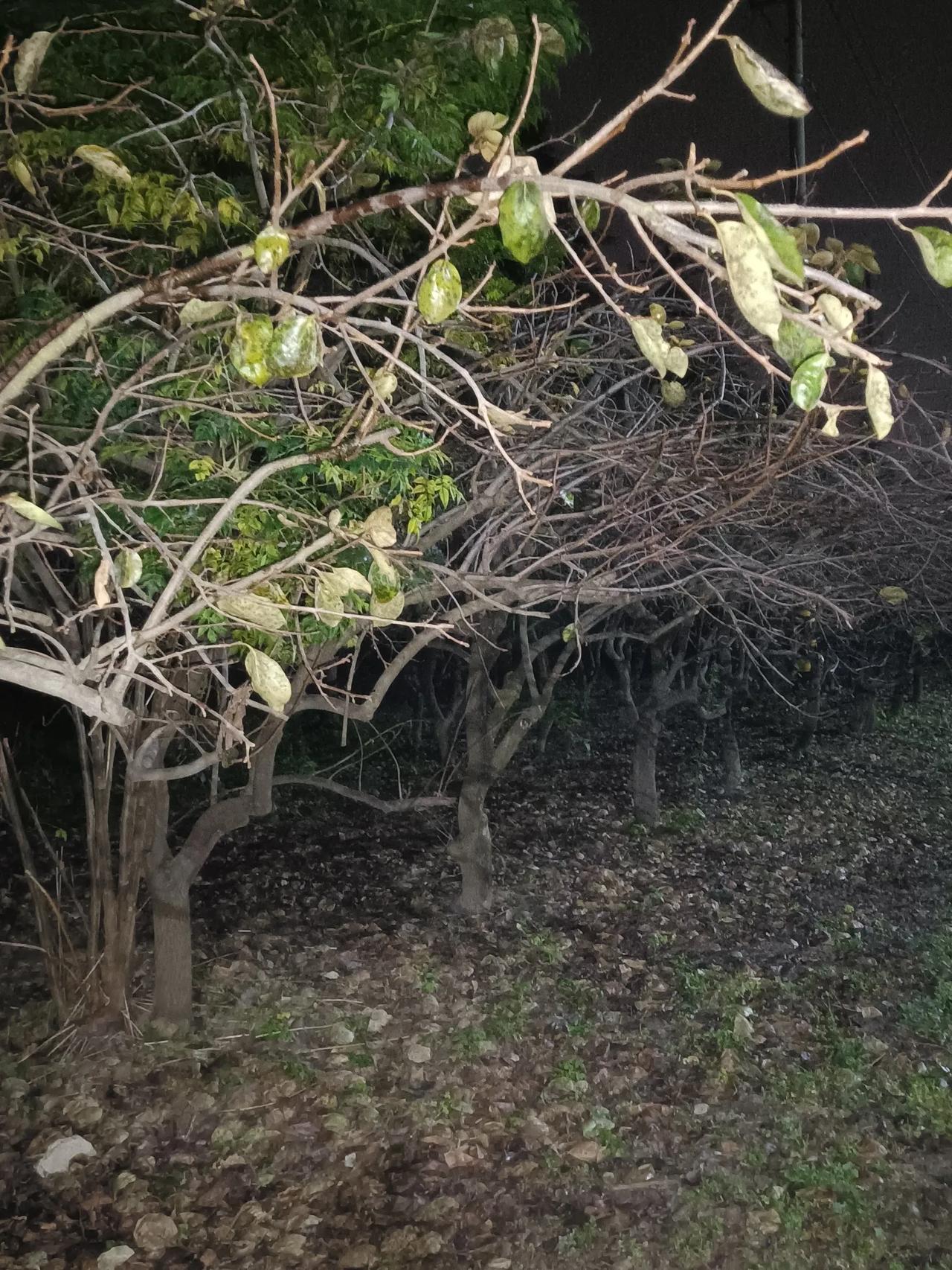 堂弟，我们都叫他勇大爷，要为我接风洗尘，约在晚上一家私房菜馆，说：这么长时间没看