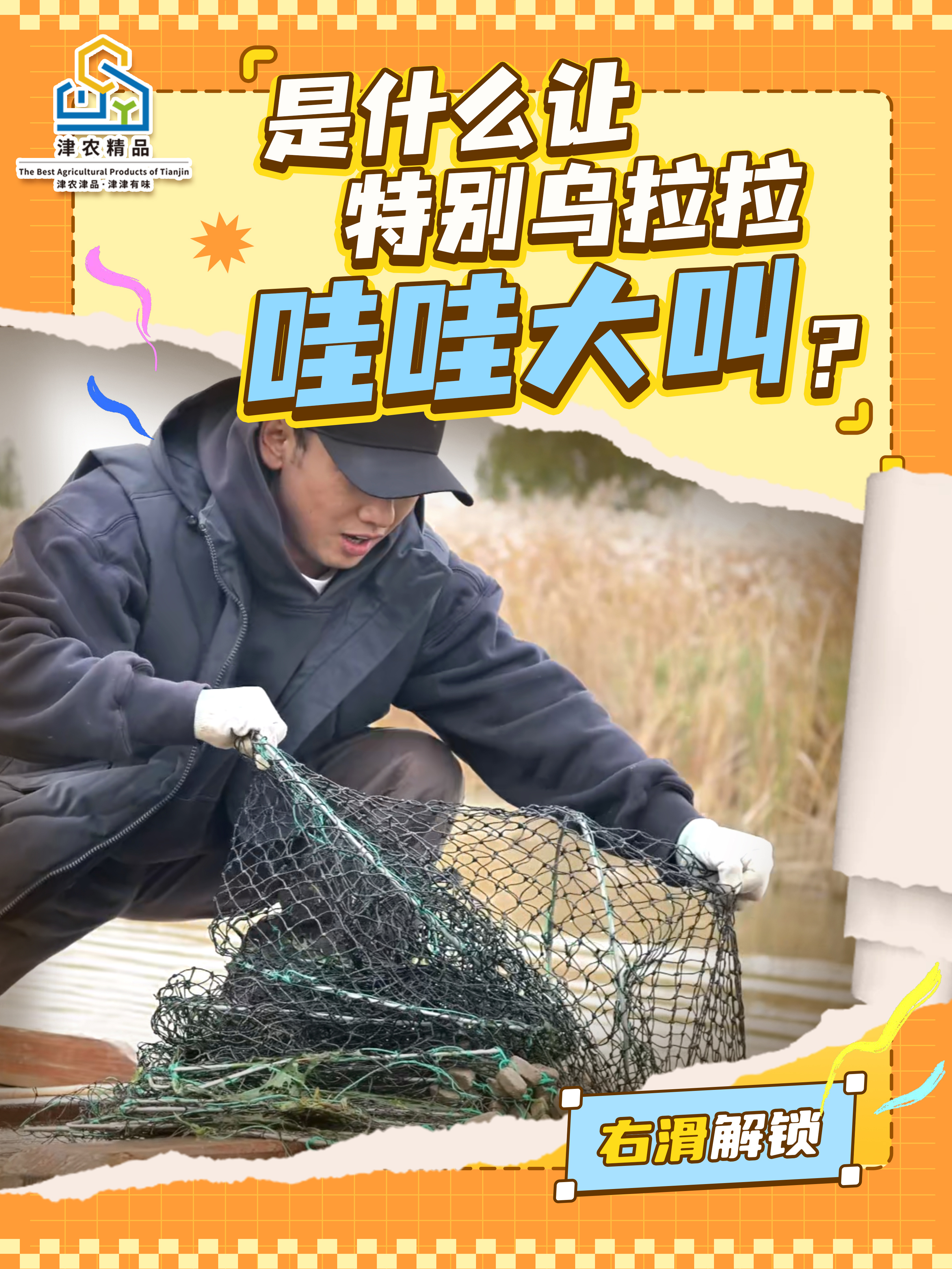 三餐四季食在天津 央视宝藏美食节目《三餐四季》终于来天津了！撒贝宁、伊能静、张馨