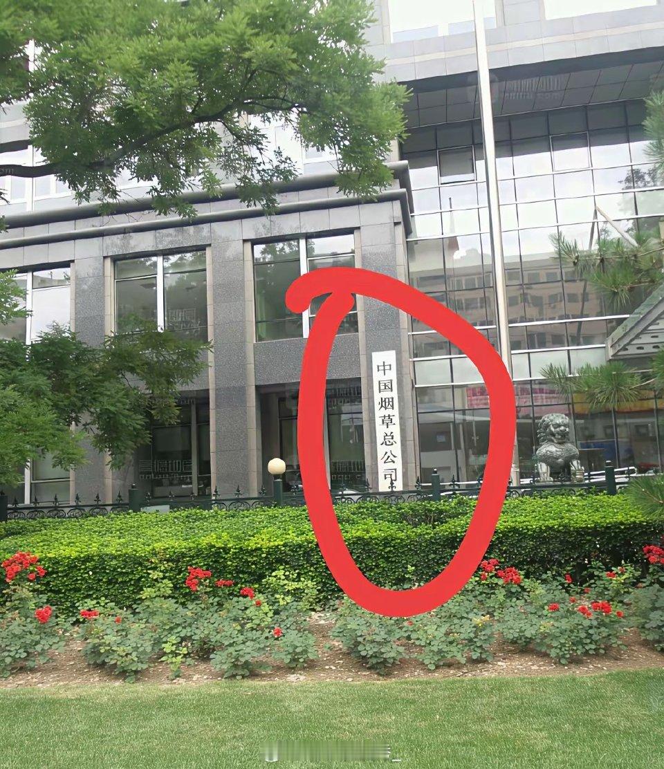 什么学历才能去这家单位上班？ ​ ​​​