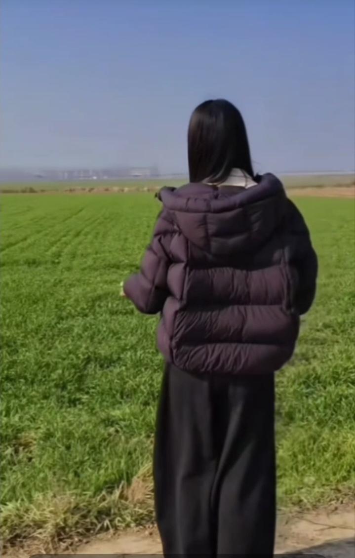 七绝  村入腊月

乡临节近雪还稀，家鹊枝头啼偶飞。
风曳丝巾田野望，小桥牵路有