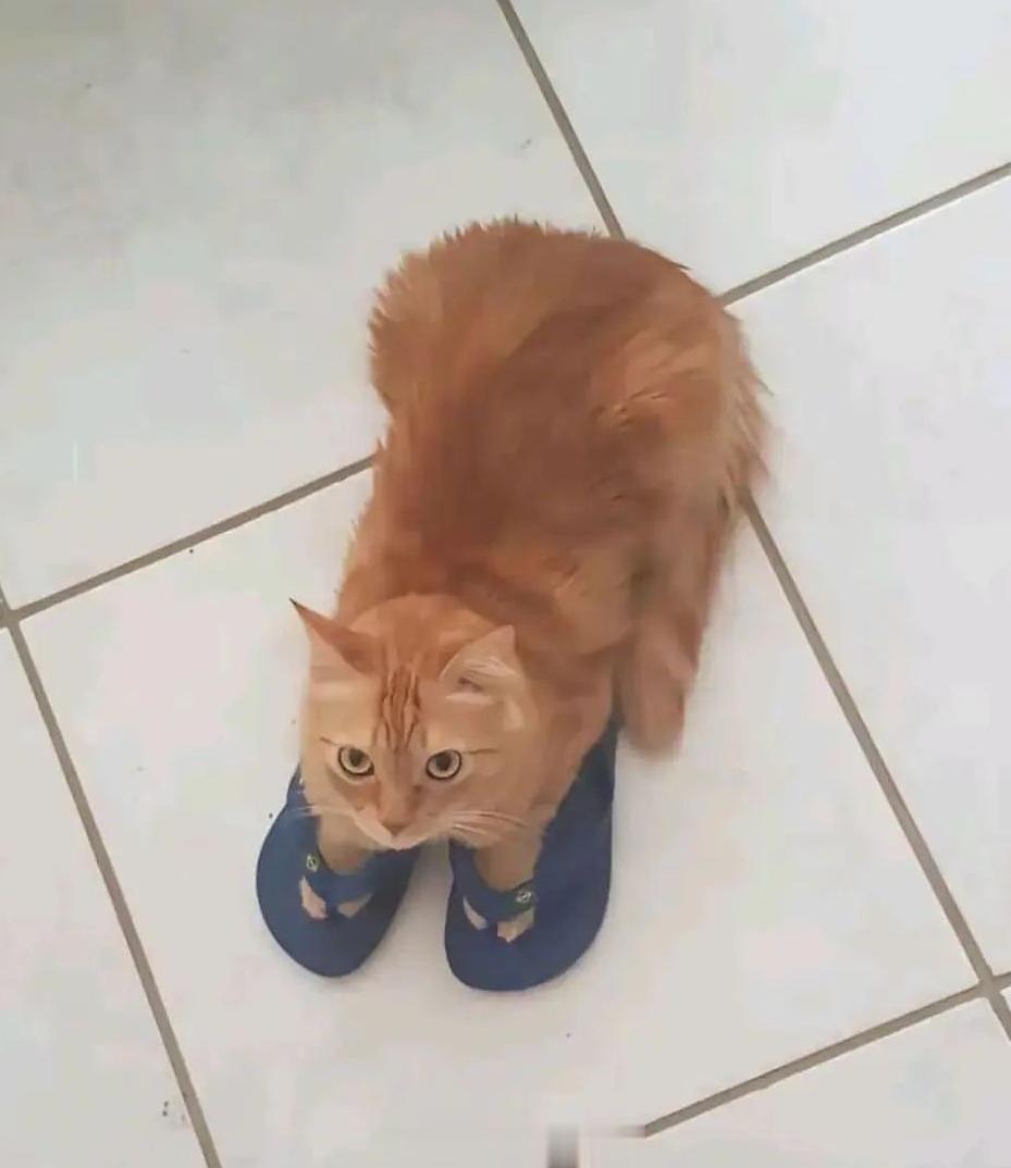 分享图片 ​​​